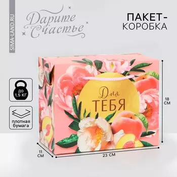 Пакет—коробка, подарочная упаковка,