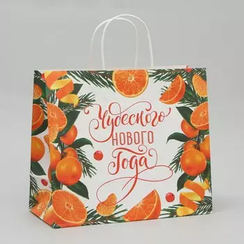 Пакет крафтовый