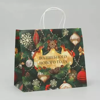 Пакет крафтовый