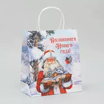 Пакет крафтовый