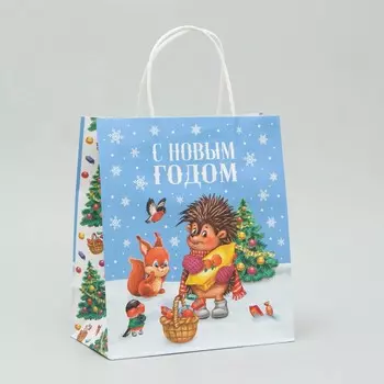 Пакет крафтовый