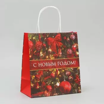 Пакет крафтовый