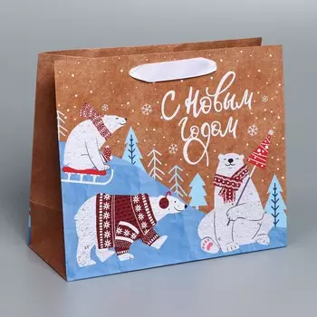 Пакет подарочный новогодний крафтовый горизонтальный