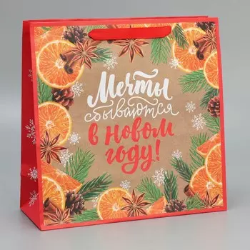 Пакет подарочный новогодний крафтовый квадратный