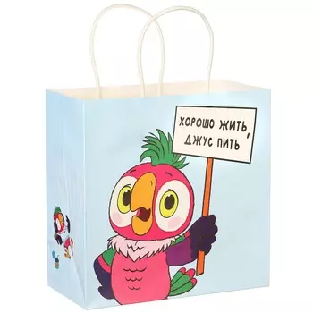Пакет подарочный, 22х22х11 см, крафт, упаковка, попугай кеша