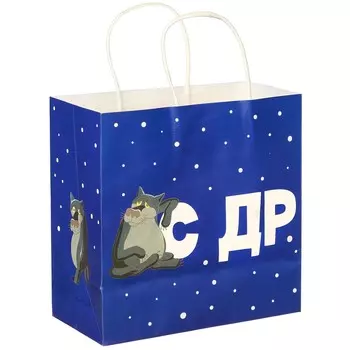 Пакет подарочный