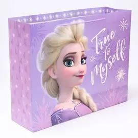 Пакет подарочный, 504015 см, упаковка, холодное сердце