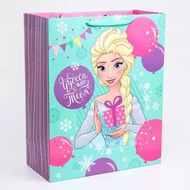 Пакет подарочный