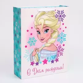 Пакет подарочный