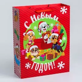 Пакет подарочный