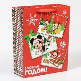 Пакет ламинат вертикальный