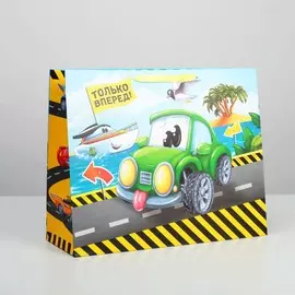 Пакет подарочный ламинированный, упаковка,