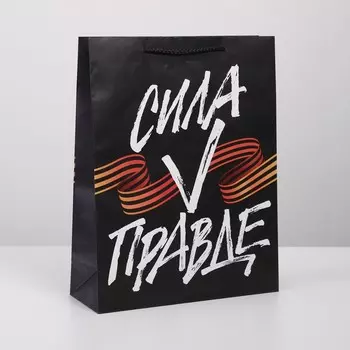 Пакет ламинированный