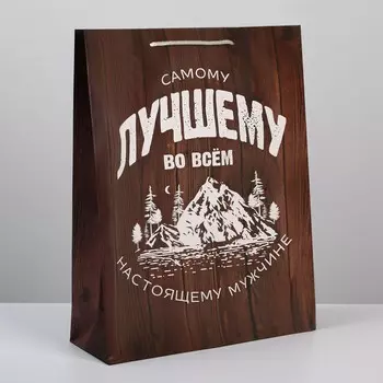 Пакет ламинированный