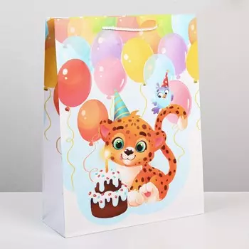 Пакет ламинированный