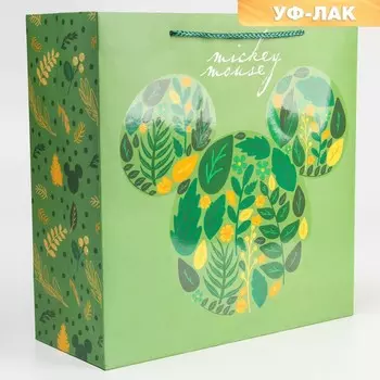 Пакет ламинированный, 30 х 30 х 12 см,