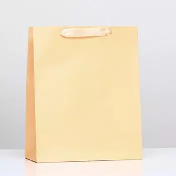 Пакет подарочный ламинированный