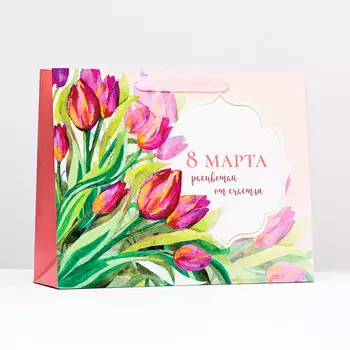 Пакет ламинированный