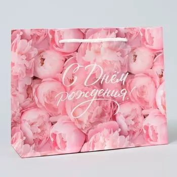 Пакет ламинированный