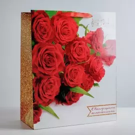 Пакет ламинированный