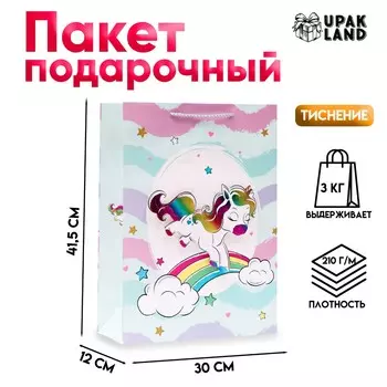 Пакет ламинированный