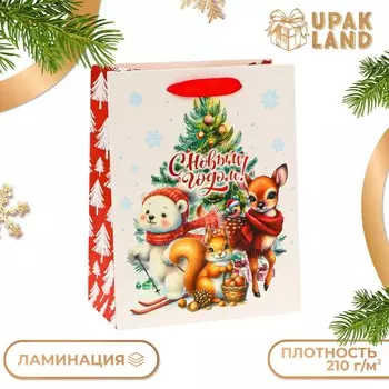 Пакет ламинированный
