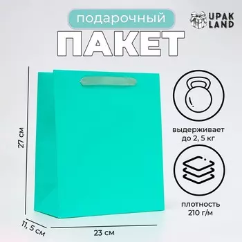 Пакет подарочный ламинированный