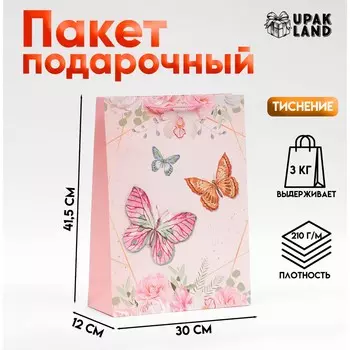 Пакет ламинированный