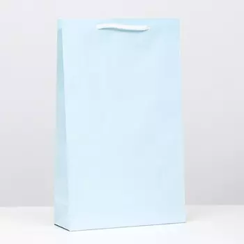 Пакет ламинированный, голубой, 40,5 х 24,8 х 9 см