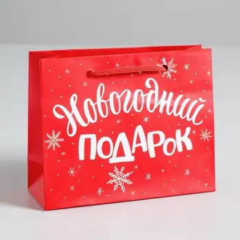 Пакет ламинированный горизонтальный