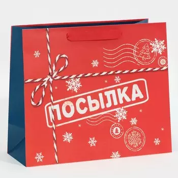 Пакет ламинированный горизонтальный
