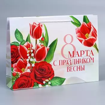 Пакет ламинированный горизонтальный