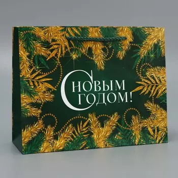 Пакет ламинированный горизонтальный