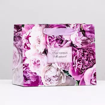 Пакет ламинированный горизонтальный