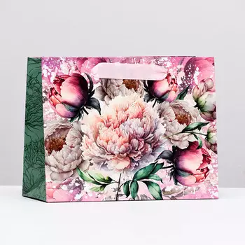 Пакет ламинированный горизонтальный