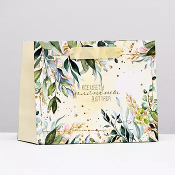 Пакет ламинированный горизонтальный