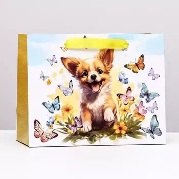 Пакет ламинированный горизонтальный