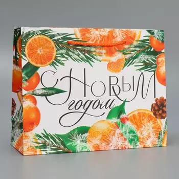 Пакет ламинированный горизонтальный