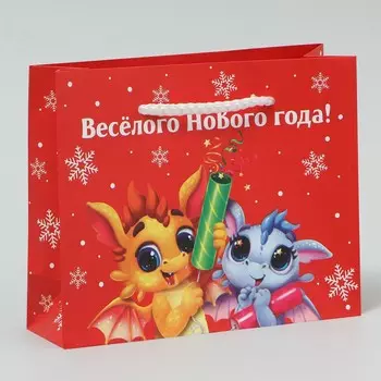 Пакет ламинированный горизонтальный