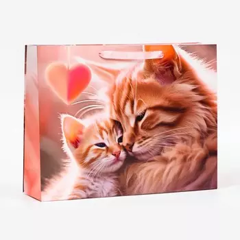 Пакет ламинированный горизонтальный