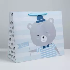 Пакет подарочный ламинированный, упаковка,