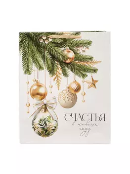 Пакет ламинированный подарочный