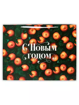 Пакет ламинированный подарочный