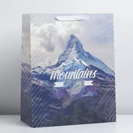 Пакет подарочный ламинированный вертикальный, упаковка,