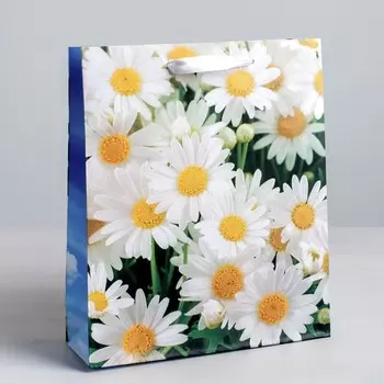 Пакет ламинированный вертикальный