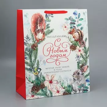 Пакет подарочный новогодний ламинированный