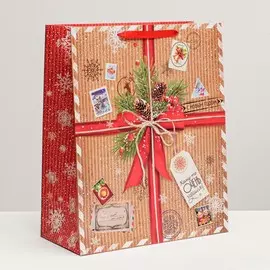 Пакет ламинированный xl