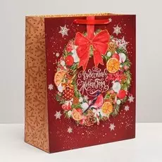 Пакет ламинированный xl