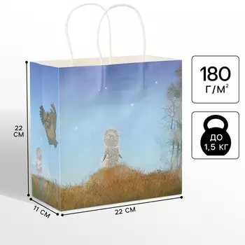 Пакет подарочный, 22х22х11 см, крафт, упаковка, ежик в тумане