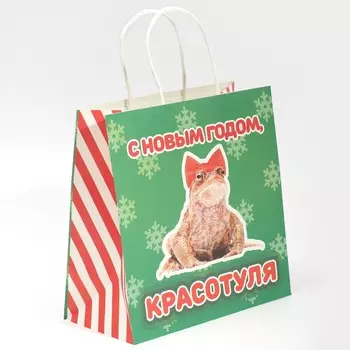 Пакет подарочный